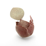 field of interference # 5 - kaori juzu