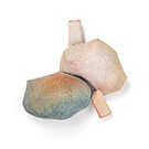 VÅRTEGN / SIGNS OF SPRING # 4 - kaori juzu